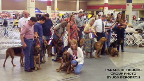 Parade-of-Hounds-Group0039